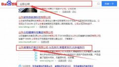 山東睿鷹制藥集團有限公司跟本公司簽訂網(wǎng)站推廣項目