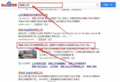 海南飛尚三樂(lè)傳媒有限公司和我公司簽訂百度快照排名項(xiàng)目