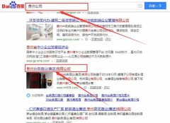 貴州臺典酒業（集團）有限公司和我公司簽訂百度快照排名項目