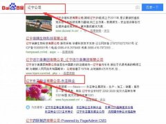 遼寧東亞種業有限公司跟本公司簽訂搜索引擎優化項目