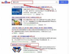 福建省晉江市奇*織造有限公司與我司做快速排名項(xiàng)目