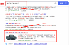 安徽*華電子科技有限公司與我司做網站建設制作設計項目