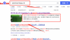 濱州市*友化纖制品有限公司網站推廣排名效果展示