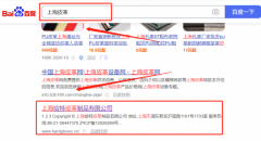 上海*特皮革制品有限公司萬詞霸屏營銷+精準(zhǔn)獲客