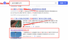 湖北凌*光電科技有限公司新站排名營銷策劃優質品牌