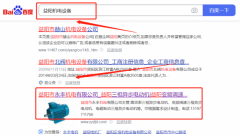 益陽市永*機電有限公司網絡營銷證在首頁效果