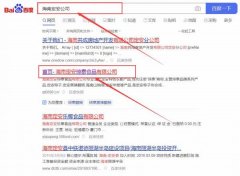 海南定安*泰食品有限公司網站優(yōu)化整合營銷推廣