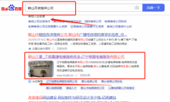 遼寧馳*電梯服務有限公司網絡推廣排名效果展示