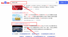 丹東通*電器集團(tuán)有限公司網(wǎng)站優(yōu)化保證在首頁(yè)效果