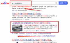 廣西南寧市*星電子衡器有限責(zé)任公司網(wǎng)絡(luò)營(yíng)銷到首頁(yè)按天扣費(fèi)