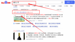 通化金*藥業股份有限公司網站優化排名效果展示