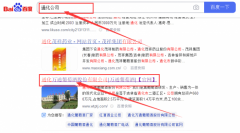 通化萬*葡萄酒股份有限公司網站優化最快上詞效果展示