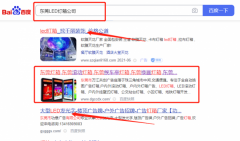 東莞市*江共創廣告服務部網站SEO優化到首頁按天扣費