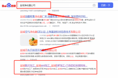 江蘇啟*環保科技有限公司優化排名排名案例欣賞
