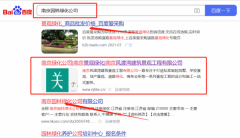 南京*渡灣建筑景觀工程有限公司整站優化快上詞效果展示