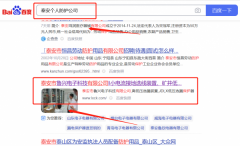 泰安市魯*電子科技有限公司網站推廣品牌營銷策劃機構