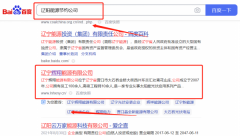 遼寧*翔能源有限公司網絡營銷保證在首頁效果