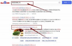陜西安康圣*生物科技有限責任公司網站優化讓網站輕松覆蓋在搜索引擎