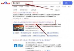 炎*物流有限公司網站優化最快上詞效果展示