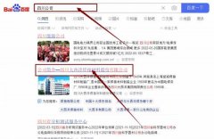 四川大*洋焊接材料股份有限公司網(wǎng)站優(yōu)化整合營銷推廣