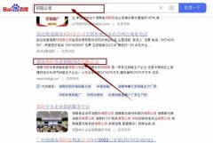 湖南祁陽華*鋼瓶制造有限公司網站SEO優化最快上詞效果展示