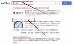 臨海市壓*表廠（有限公司）網站優化最快上詞效果展示