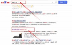 泉州新*鞋業有限公司網站推廣品牌營銷策劃機構