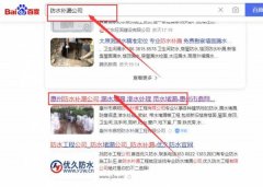 惠州市鼎*防水補(bǔ)漏工程有限公司網(wǎng)站優(yōu)化最快上詞效果展示