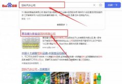 青島健*泉食品飲料有限公司網(wǎng)站優(yōu)化專注一站式品牌營(yíng)銷(xiāo)整合推廣