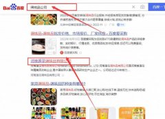 河南蓮*調味品有限公司網站優化最快上詞效果展示